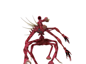RathSpawn1