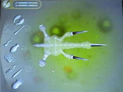 Microbial2