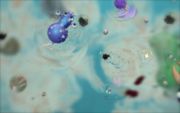 180px-Cell stage5