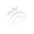 Карточки развития | Spore Wiki | Fandom