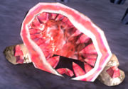 Geodo Rosa