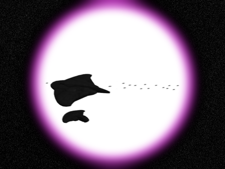 FLEIJA2
