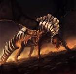 Thorakur