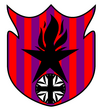 Clan Vort Banner