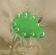 Bloatoangrystare