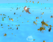 Fish and Insects