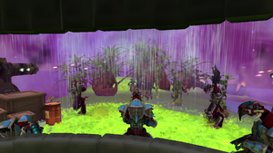 Quadrantia Disorder 03-01