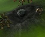 Meteor