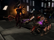 Chosen's Coming