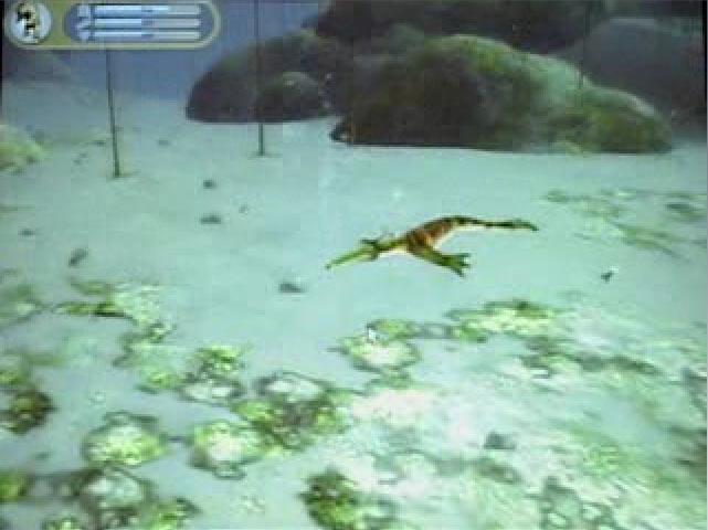 spore creature creator asymmetry spore creature creator asymmetry
