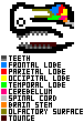 RoaraganHead