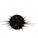 Eftievirus