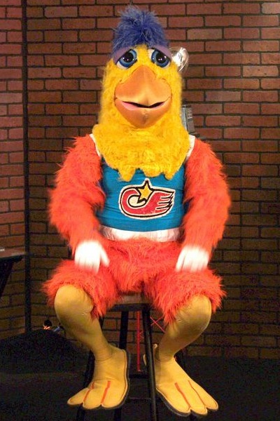 SanDiegoChicken