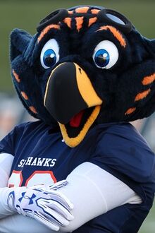 Captain Skyhawk (The University of Tennessee at Martin) | SportsMascots ...