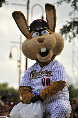 Astros Mascot >> Junction Jack Houston Astros Sportsmascots Wikia Fandom Astros Mascot >> Junction Jack Houston Astros Sportsmascots Wikia Fandom