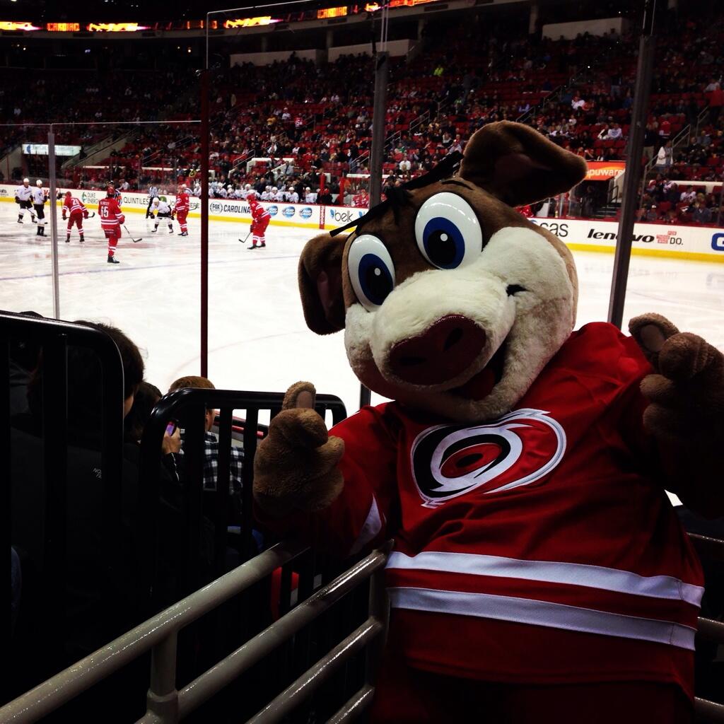 Stormy (Carolina Hurricanes) SportsMascots Wikia Fandom