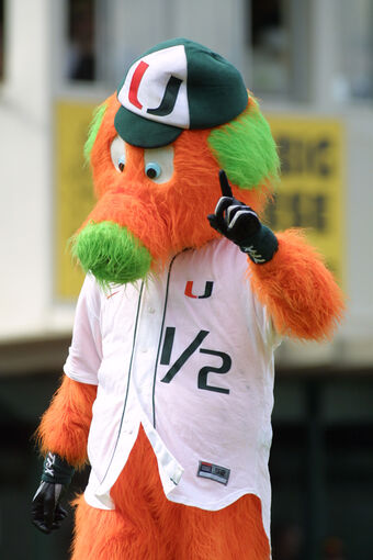 University Of Miami Mascot - Cars