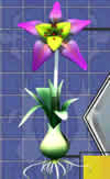 Mission09
