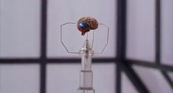 Third Brain