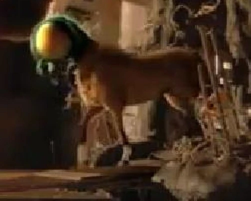 Horse-fly | Spy Kids Wiki | FANDOM powered by Wikia