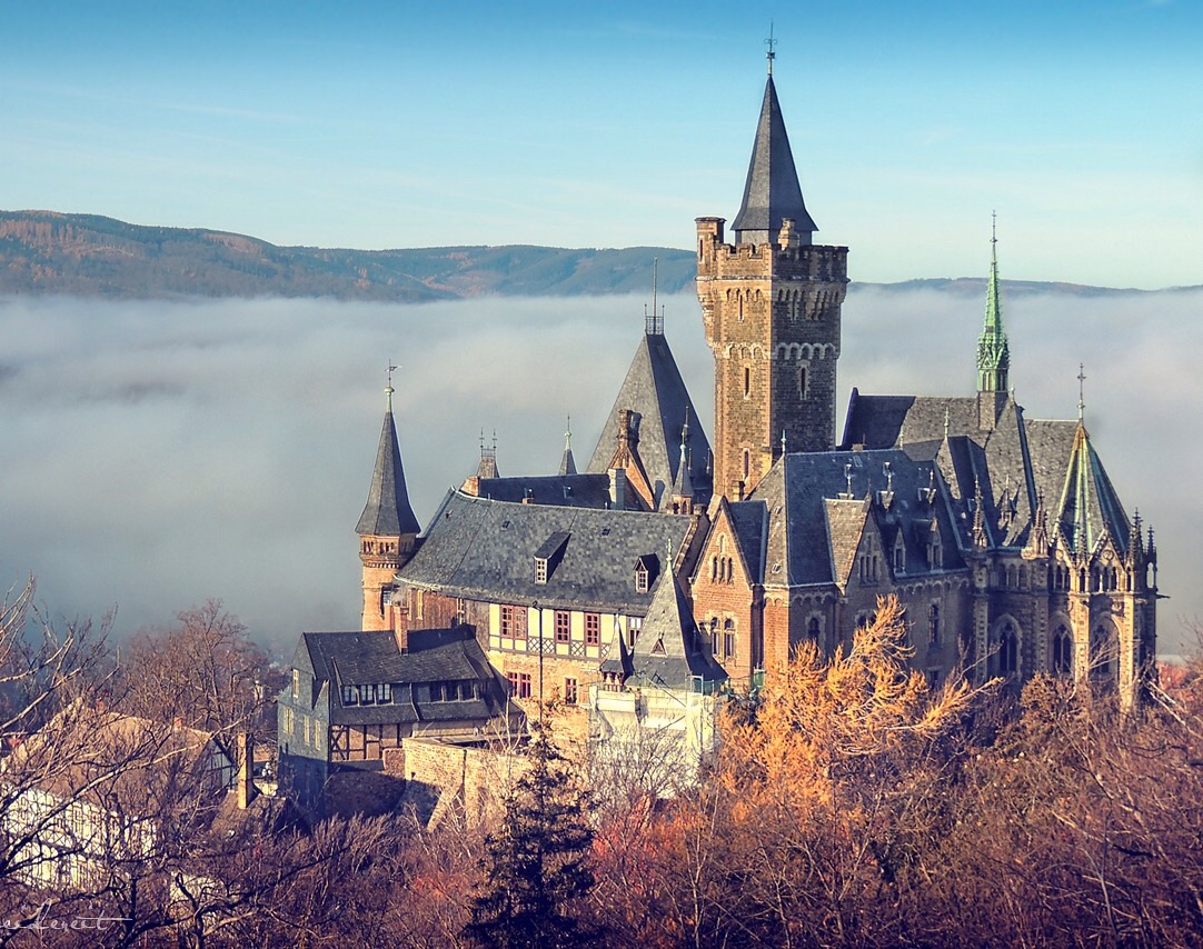 Real Wernigerode Real Wernigerode