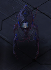 Vanguard