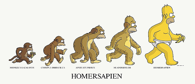 image evolution of man parodies 333 jpg srjcbiologybeckonsyou evolution of man
