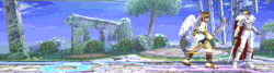 Shield stab Marth Brawl