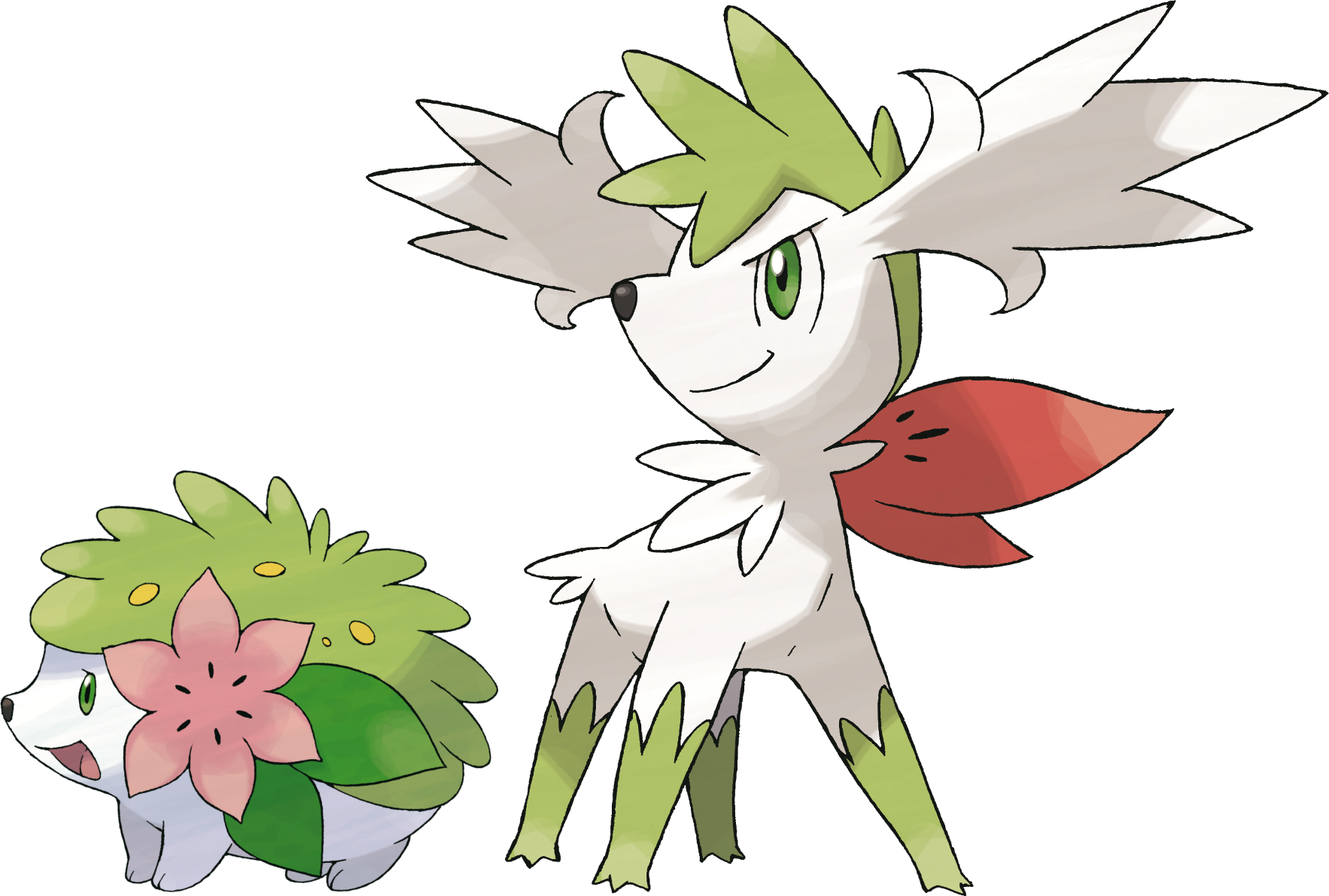 shaymin-smashpedia-fandom-powered-by-wikia