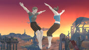 Wii-fit-male-female