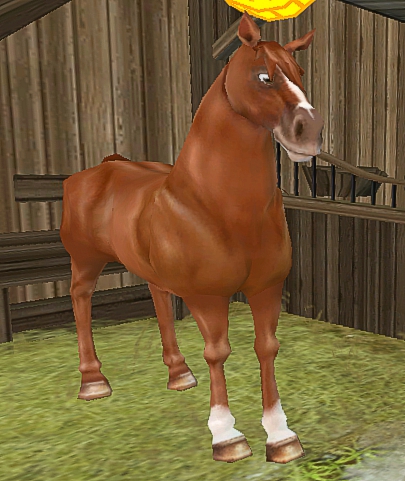 Westfale | Star Stable Wiki | FANDOM powered by Wikia