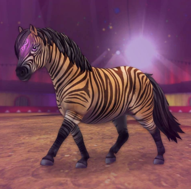 Zony | Star Stable Wiki | Fandom