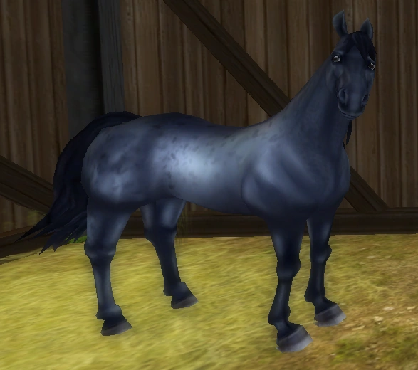 American Quarter Horse Star Stable Wiki FANDOM powered by Wikia