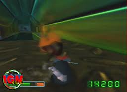 Rat