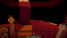 Nethercake
