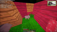 Wolf baby!2
