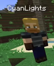 Shawn skin