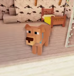 Page dogcraft