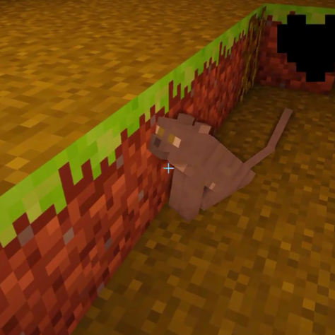 stacyplays shelter 3 stacyplays shelter 3