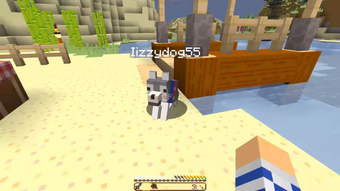 Izzy Game Time Minecraft New