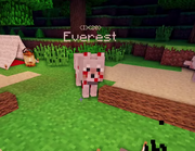 Everest Burned