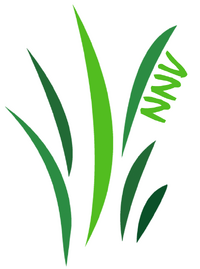 NNV 2