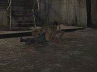 Bloodsucker sucking blood.jpg (2)