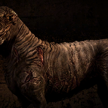 Blind Dog S T A L K E R Wiki Fandom