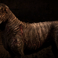 Blind Dog S T A L K E R Wiki Fandom