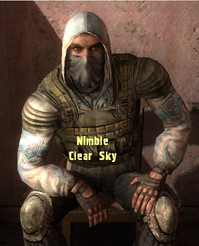 call of chernobyl nimble call of chernobyl nimble