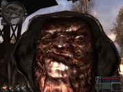 Burer.face