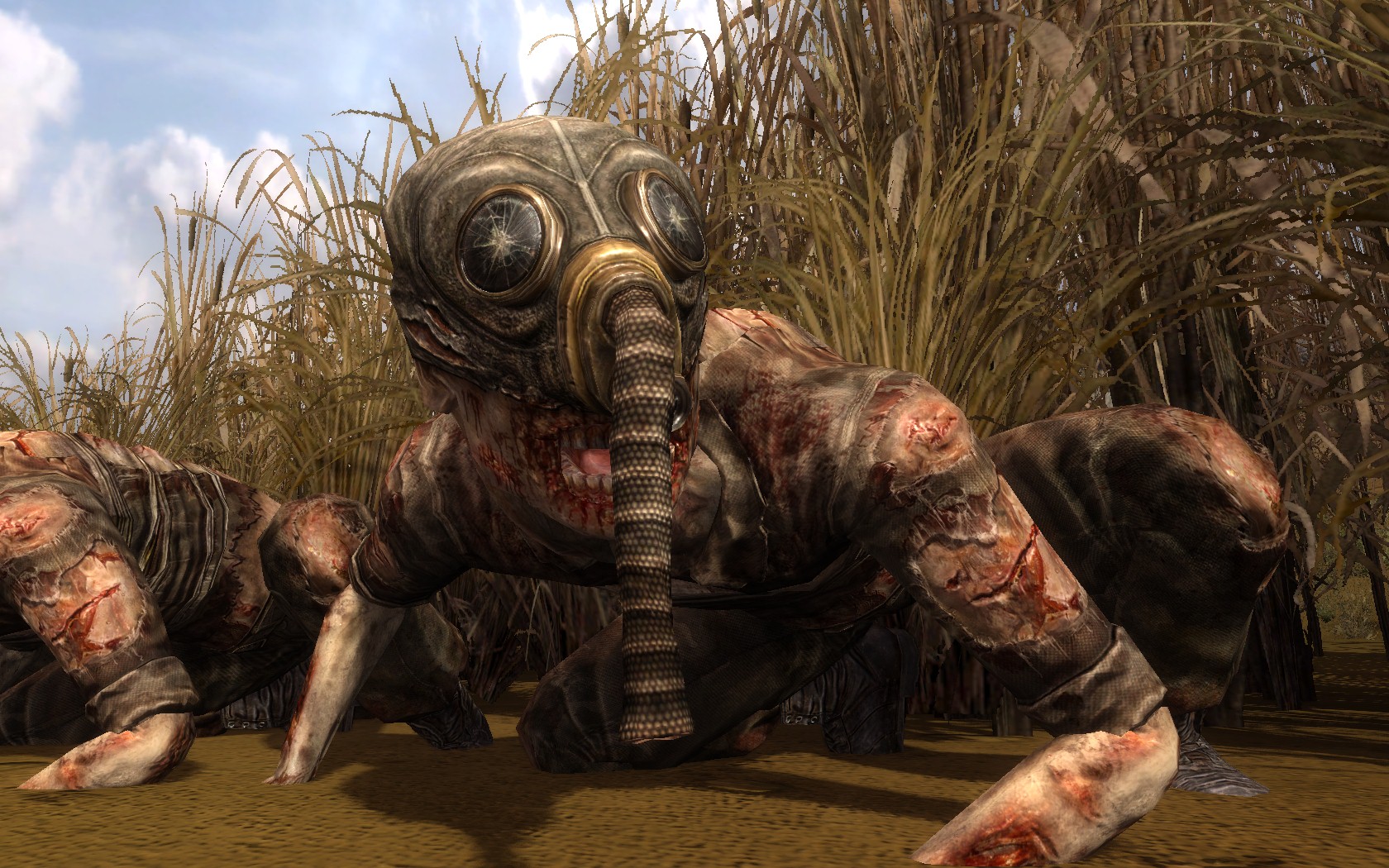 норы снорков в зов припяти. логово снорков в сталкер. сталкер ловец снов найти логово снорков. сталкер ловец снов найти логово снорков. сталкер ловец снов найти логово снорков.