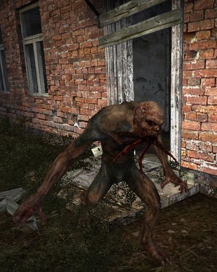 Bloodsucker Bloodsucker