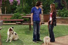 Descarga (3